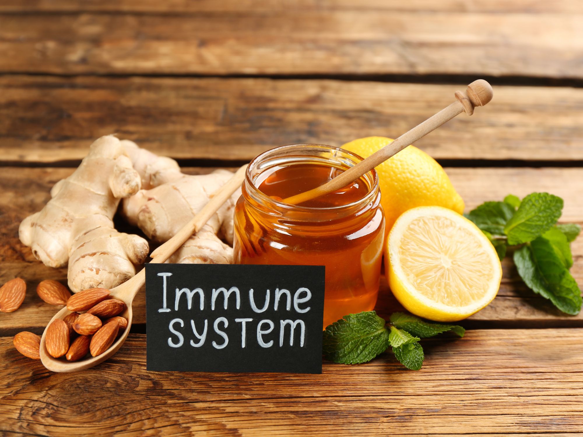 Immune Function & Nervous System Harmony - Kansas City chiropractic blog about family wellness and natural healing