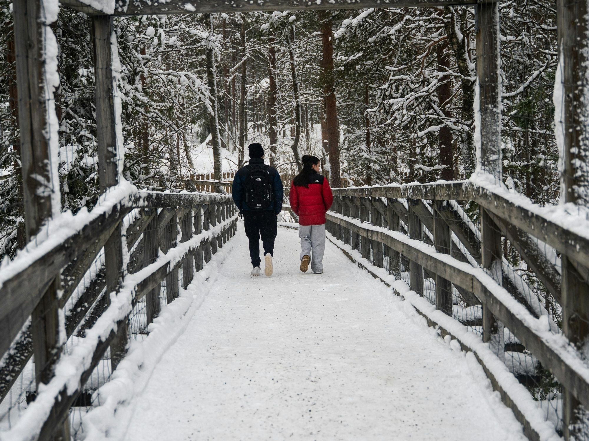 Movement, Posture, and Breath — Foundational Health Habits - Kansas City chiropractic blog about family wellness and natural healing